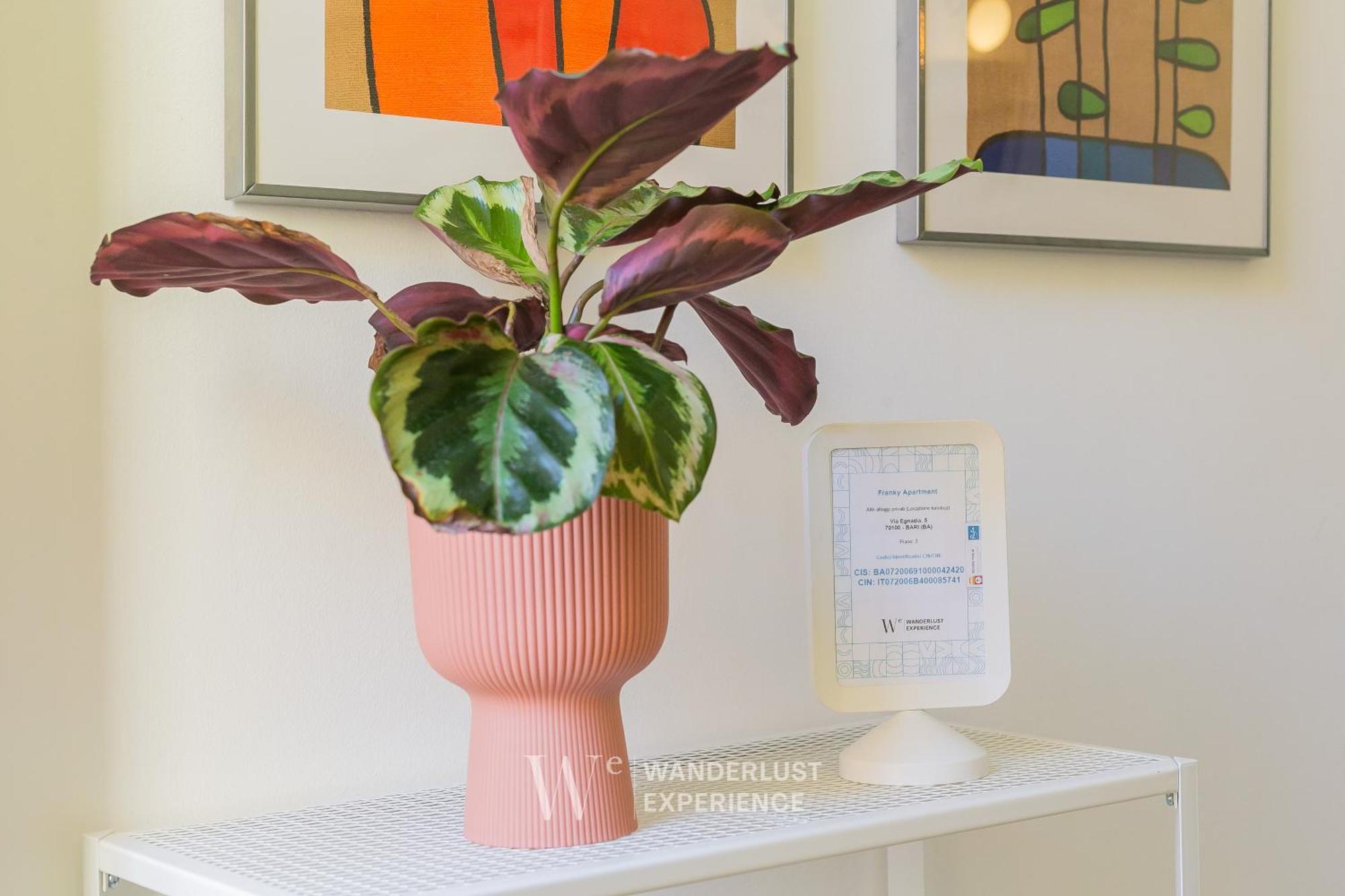 Wanderlust Experience Frankly Apartment Bari Luaran gambar